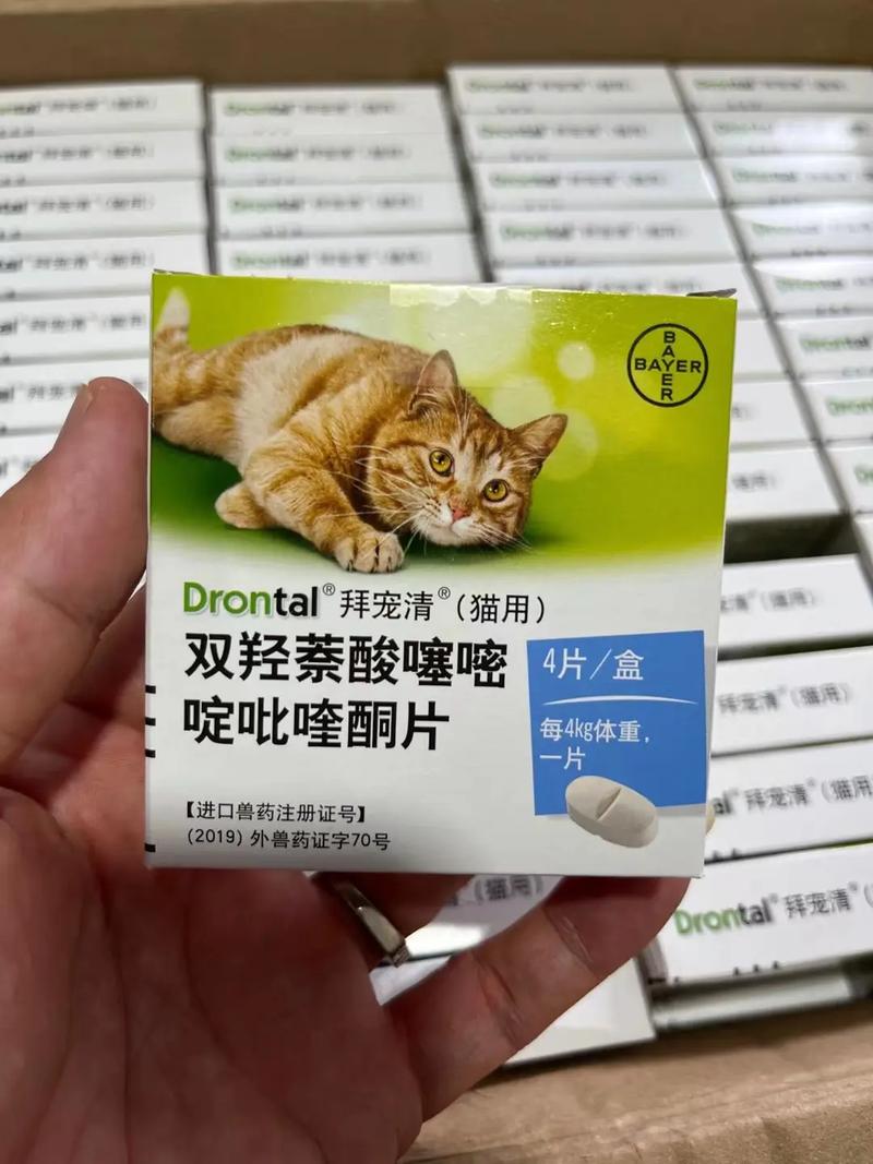 猫咪驱虫药吃多少_猫体内驱虫用什么药比较好-第2张图片-后鲨宠物 猫咪驱虫药吃多少_猫体内驱虫用什么药比较好-第2张图片-后鲨宠物
