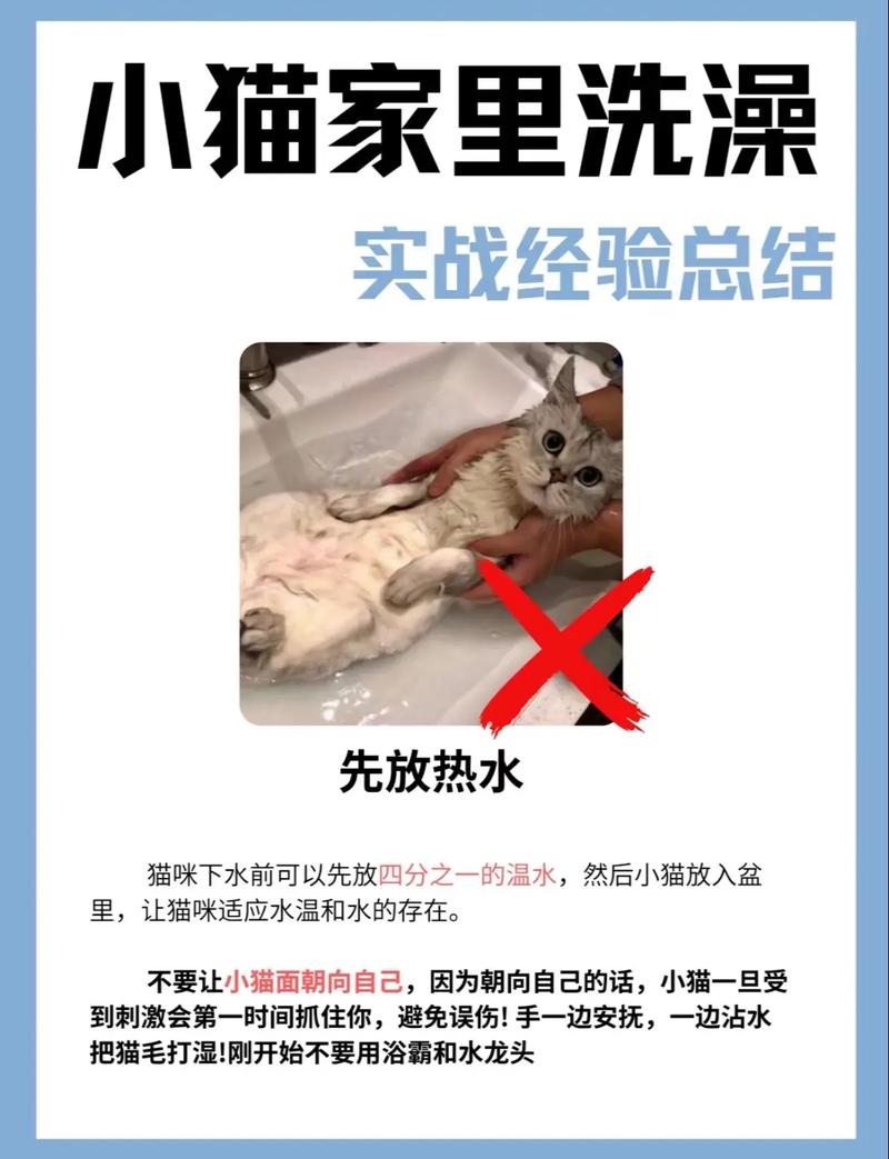 猫咪可以喝温水吗,猫猫能喝温水吗??-第4张图片-后鲨宠物 猫咪可以喝温水吗,猫猫能喝温水吗??-第4张图片-后鲨宠物