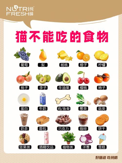 猫猫不能吃的东西，猫咪不能吃的东西？