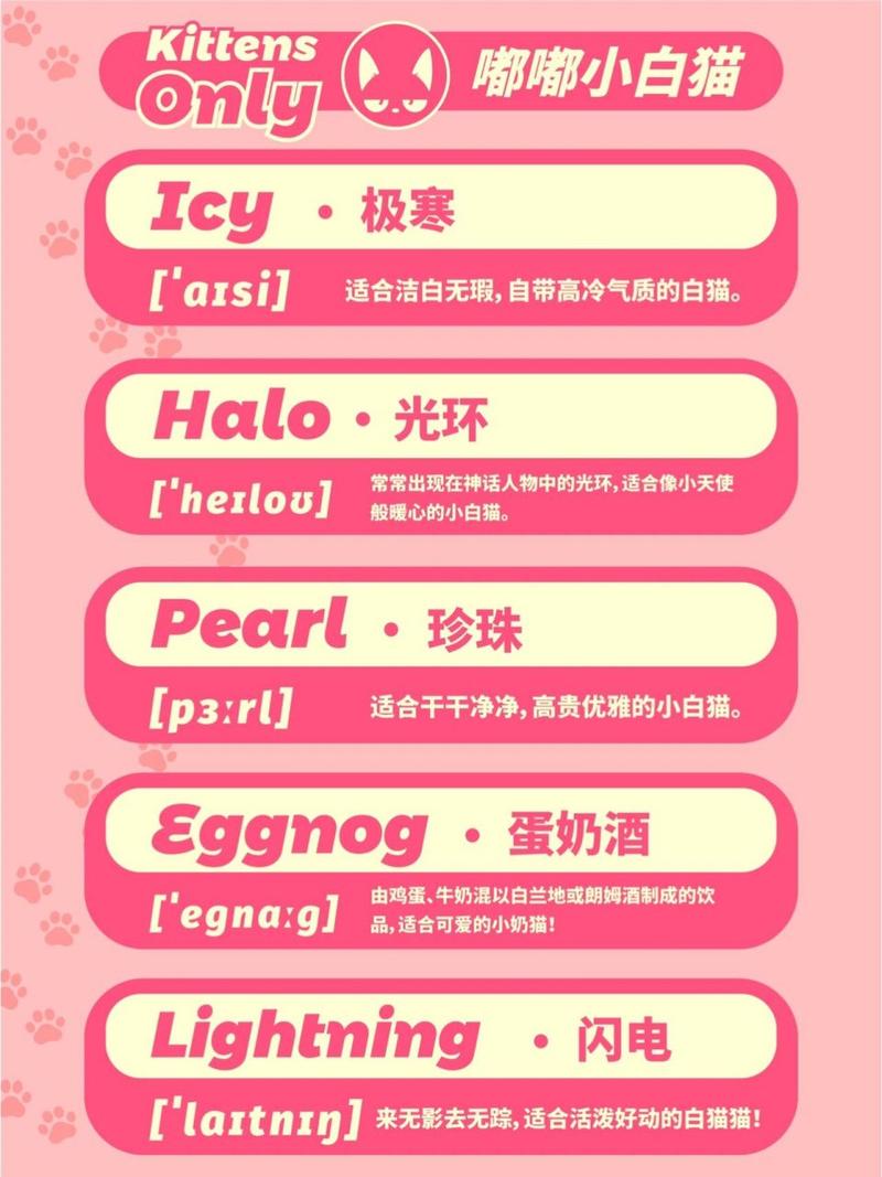 猫咪好听的英文名,猫咪好听的英文名字女?-第2张图片-后鲨宠物 猫咪好听的英文名,猫咪好听的英文名字女?-第2张图片-后鲨宠物