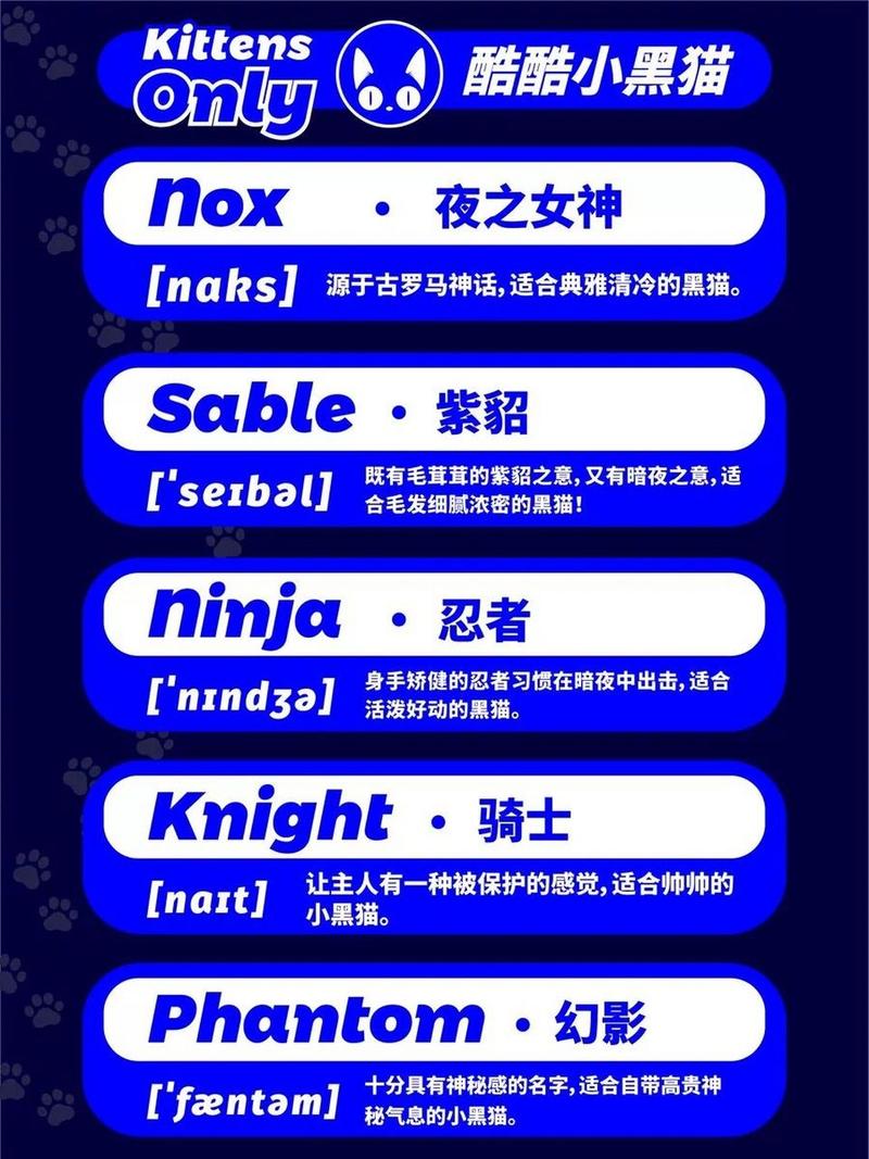 猫咪好听的英文名,猫咪好听的英文名字女?-第3张图片-后鲨宠物 猫咪好听的英文名,猫咪好听的英文名字女?-第3张图片-后鲨宠物