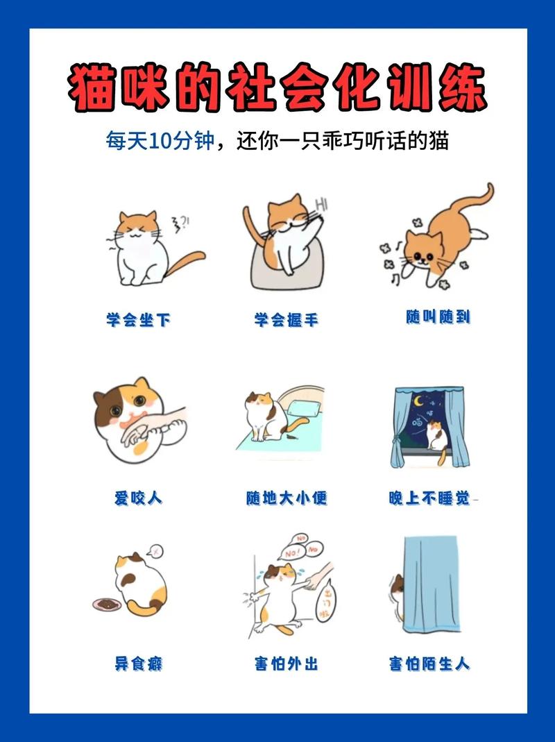 怎样才能让猫咪听话,怎样才能让猫咪听话?-第5张图片-后鲨宠物 怎样才能让猫咪听话,怎样才能让猫咪听话?-第5张图片-后鲨宠物
