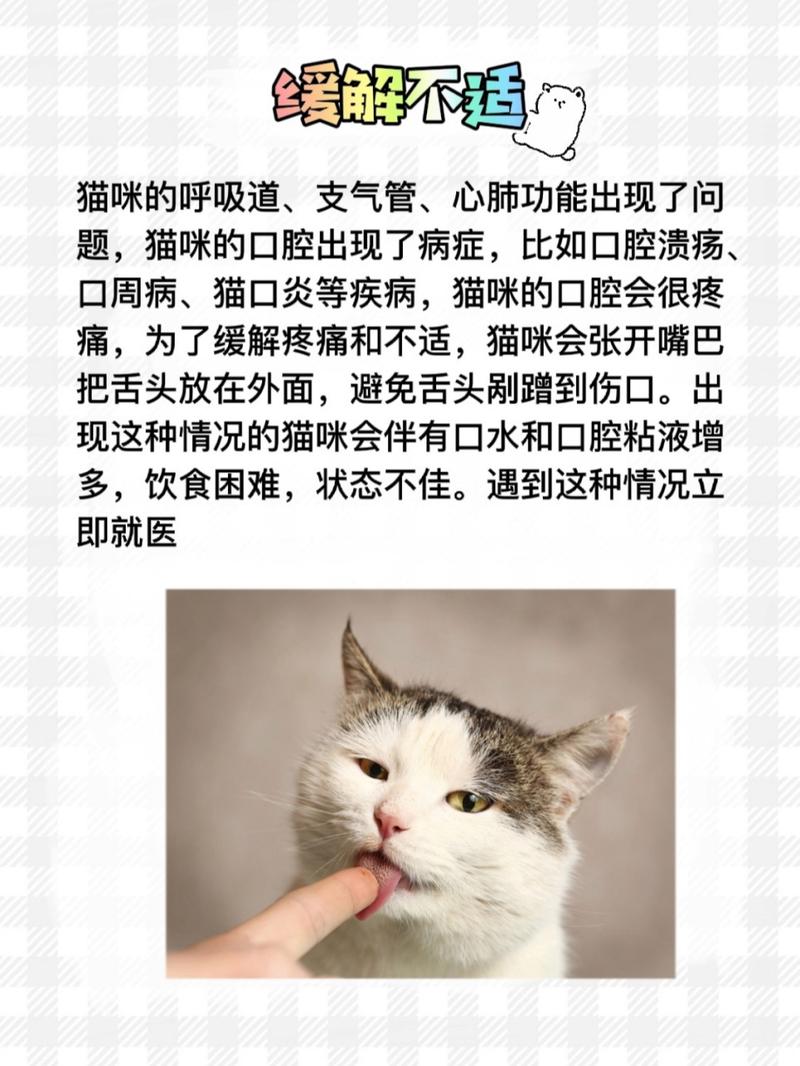 猫咪吐舌头呼吸急促_猫咪吐舌头呼吸急促是为什么-第5张图片-后鲨宠物 猫咪吐舌头呼吸急促_猫咪吐舌头呼吸急促是为什么-第5张图片-后鲨宠物