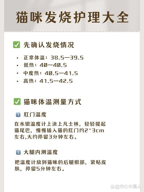 怎么判断猫咪是否发烧,怎么判断猫咪是否发烧?-第6张图片-后鲨宠物 怎么判断猫咪是否发烧,怎么判断猫咪是否发烧?-第6张图片-后鲨宠物