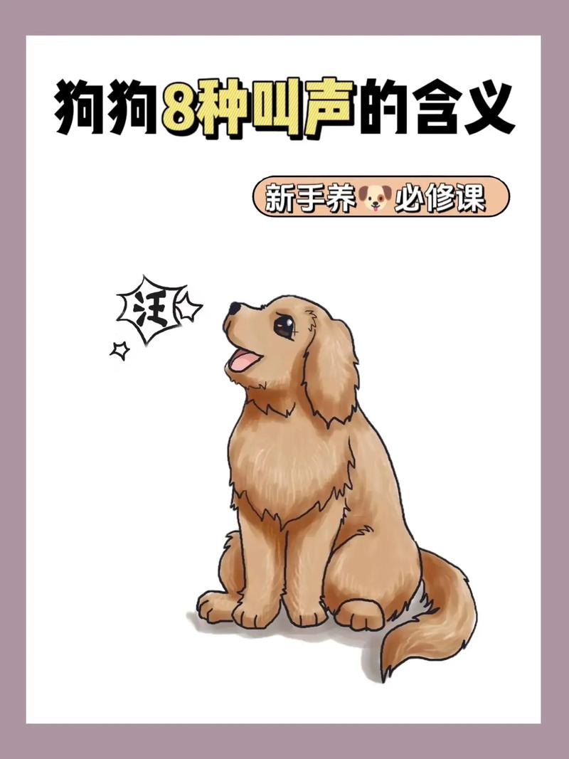 狗狗半夜叫唤怎么回事,狗狗半夜叫是因为什么-第2张图片-后鲨宠物 狗狗半夜叫唤怎么回事,狗狗半夜叫是因为什么-第2张图片-后鲨宠物