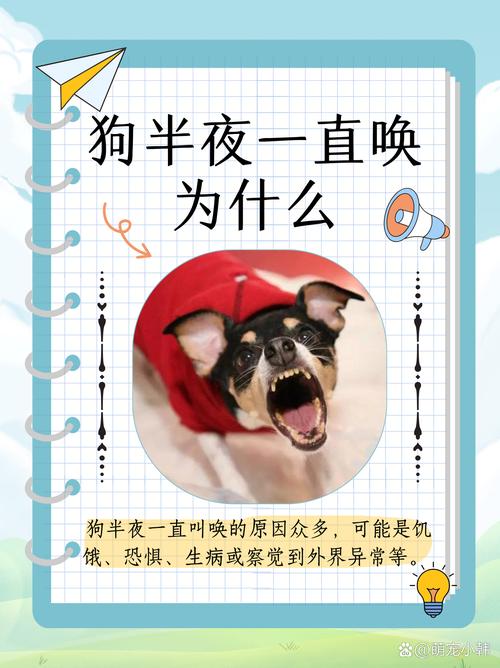 狗狗半夜叫唤怎么回事,狗狗半夜叫是因为什么-第3张图片-后鲨宠物 狗狗半夜叫唤怎么回事,狗狗半夜叫是因为什么-第3张图片-后鲨宠物
