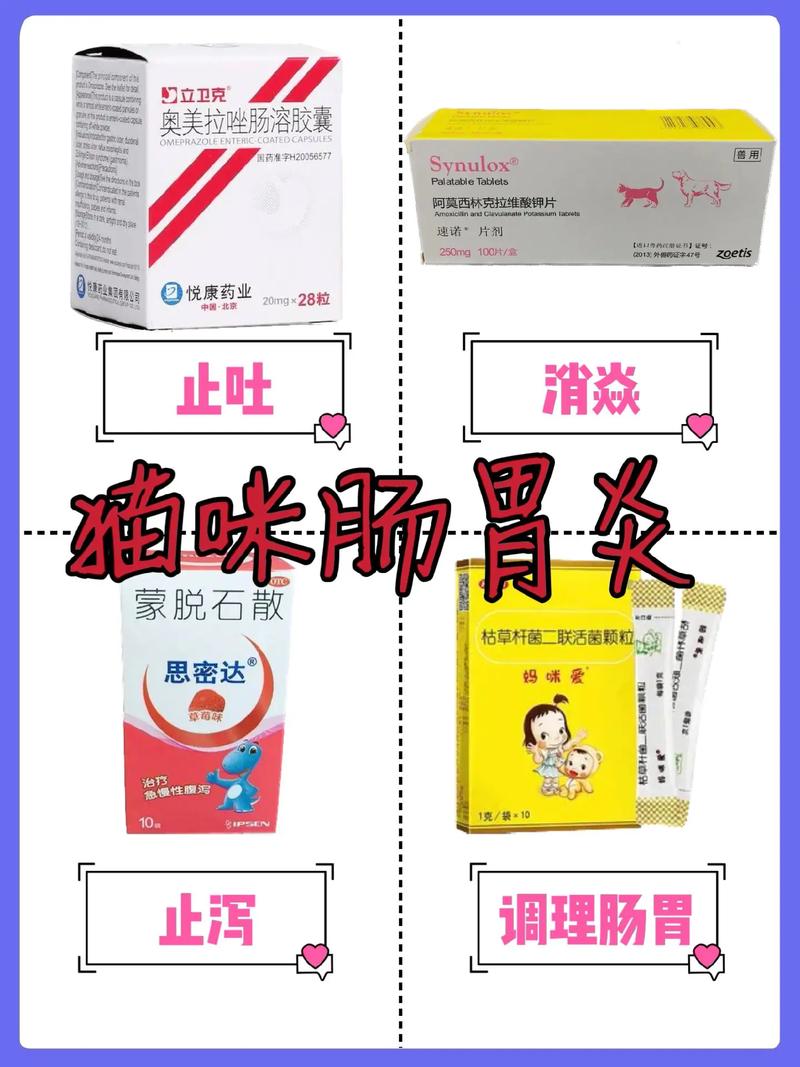 猫咪胃肠炎吃什么药,猫肠炎吃什么药比较好?-第2张图片-后鲨宠物 猫咪胃肠炎吃什么药,猫肠炎吃什么药比较好?-第2张图片-后鲨宠物