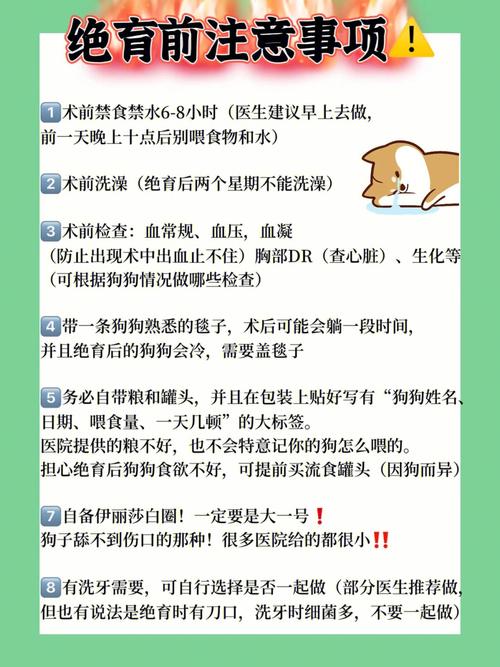 狗狗绝育的最佳时间,狗狗绝育的最佳时间是多久-第3张图片-后鲨宠物 狗狗绝育的最佳时间,狗狗绝育的最佳时间是多久-第3张图片-后鲨宠物