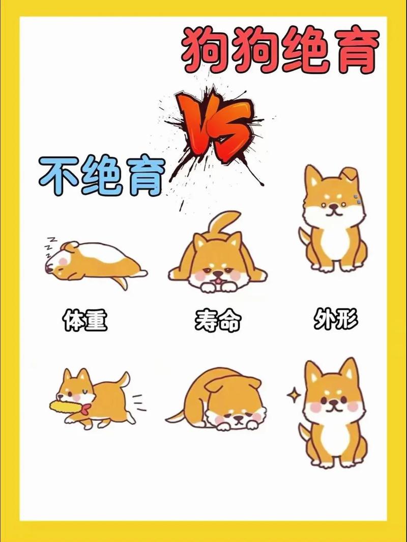 狗狗绝育的最佳时间,狗狗绝育的最佳时间是多久-第5张图片-后鲨宠物 狗狗绝育的最佳时间,狗狗绝育的最佳时间是多久-第5张图片-后鲨宠物