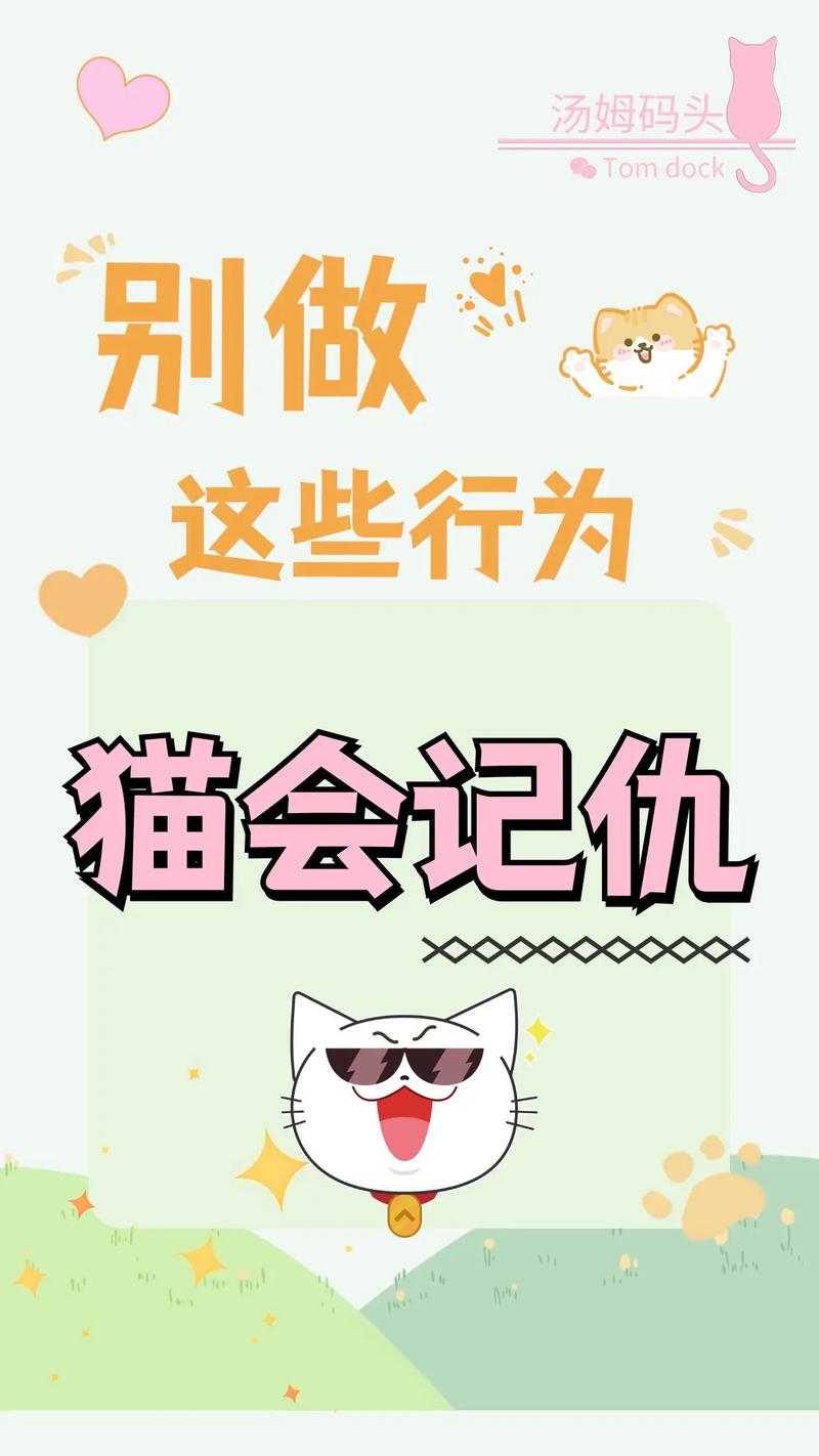打猫猫会记仇吗_打猫猫会记仇吗-第2张图片-后鲨宠物 打猫猫会记仇吗_打猫猫会记仇吗-第2张图片-后鲨宠物