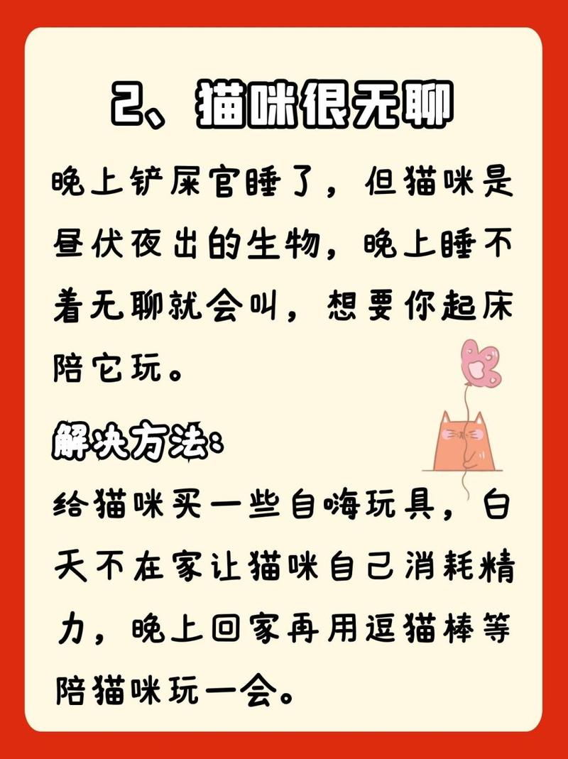 猫咪晚上叫怎么办,猫咪晚上一直叫该怎么办?-第2张图片-后鲨宠物 猫咪晚上叫怎么办,猫咪晚上一直叫该怎么办?-第2张图片-后鲨宠物