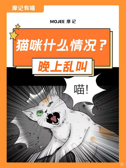 猫咪晚上叫怎么办,猫咪晚上一直叫该怎么办?-第4张图片-后鲨宠物 猫咪晚上叫怎么办,猫咪晚上一直叫该怎么办?-第4张图片-后鲨宠物