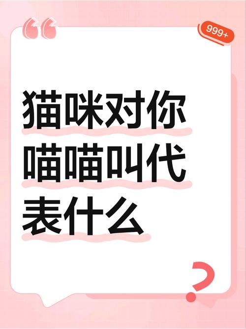 猫咪对着你叫什么意思_猫咪对着你叫什么意思呀-第2张图片-后鲨宠物