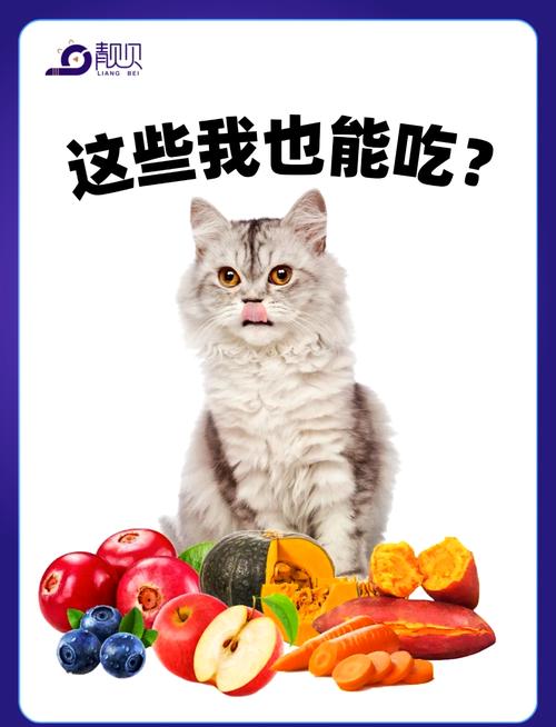 猫咪为什么喜欢吃红薯_猫咪为什么喜欢吃红薯叶-第1张图片-后鲨宠物 猫咪为什么喜欢吃红薯_猫咪为什么喜欢吃红薯叶-第1张图片-后鲨宠物