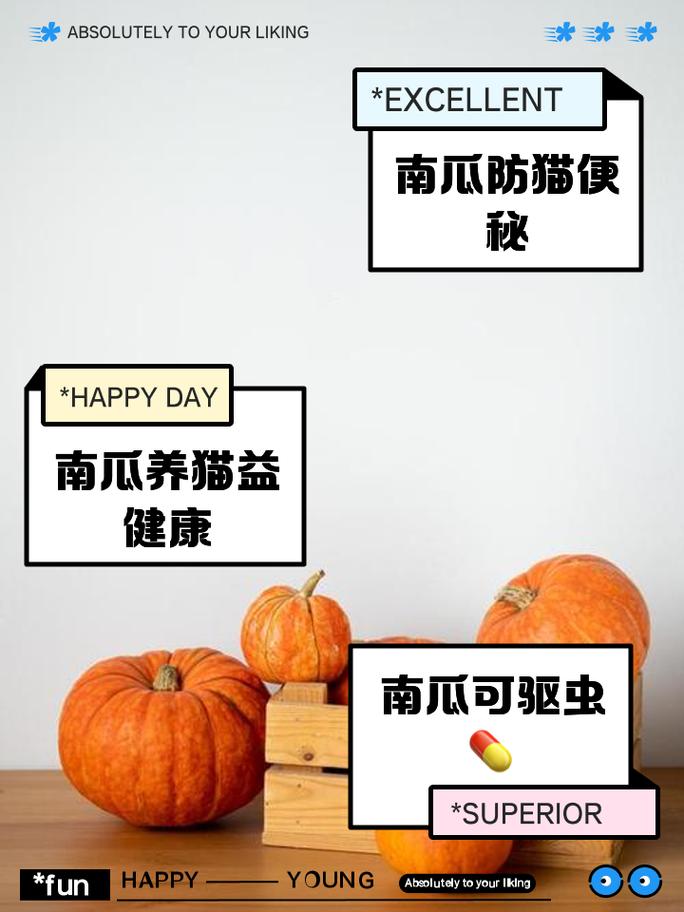 猫咪为什么喜欢吃红薯_猫咪为什么喜欢吃红薯叶-第4张图片-后鲨宠物 猫咪为什么喜欢吃红薯_猫咪为什么喜欢吃红薯叶-第4张图片-后鲨宠物