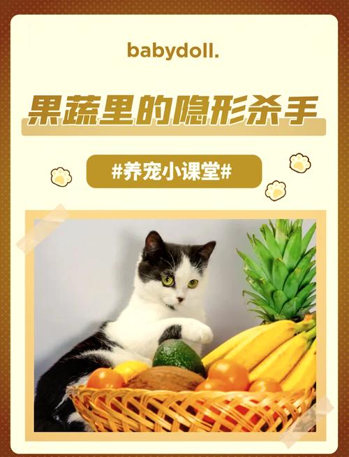 猫咪为什么不能吃葡萄,猫咪为什么不能吃葡萄柚-第5张图片-后鲨宠物 猫咪为什么不能吃葡萄,猫咪为什么不能吃葡萄柚-第5张图片-后鲨宠物