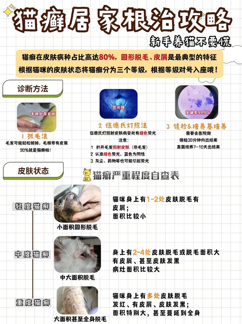 猫咪得了皮肤病怎么办,猫得皮肤病能自愈吗?-第6张图片-后鲨宠物 猫咪得了皮肤病怎么办,猫得皮肤病能自愈吗?-第6张图片-后鲨宠物