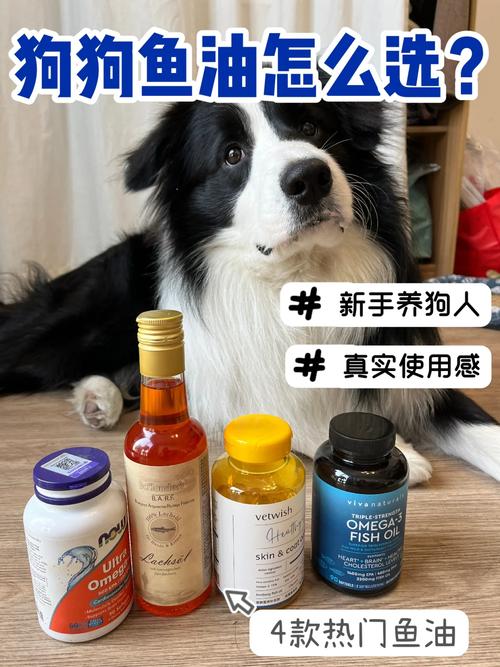 狗狗吃鱼油有什么好处,狗狗吃鱼油有什么好处和作用?-第3张图片-后鲨宠物 狗狗吃鱼油有什么好处,狗狗吃鱼油有什么好处和作用?-第3张图片-后鲨宠物