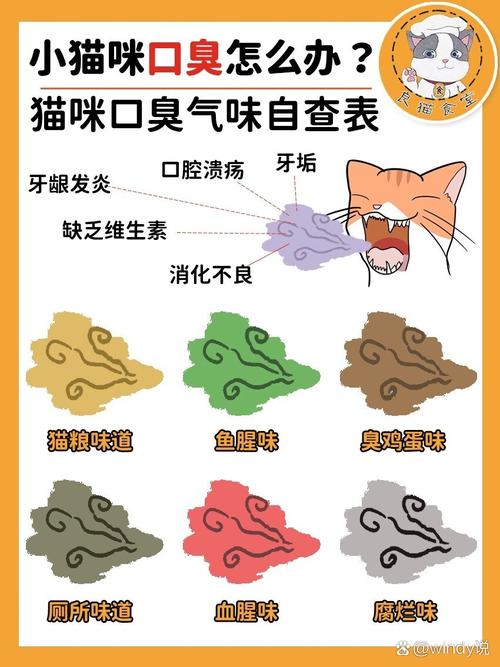 猫咪口臭怎么去除,猫咪口臭怎么去除最快-第2张图片-后鲨宠物 猫咪口臭怎么去除,猫咪口臭怎么去除最快-第2张图片-后鲨宠物