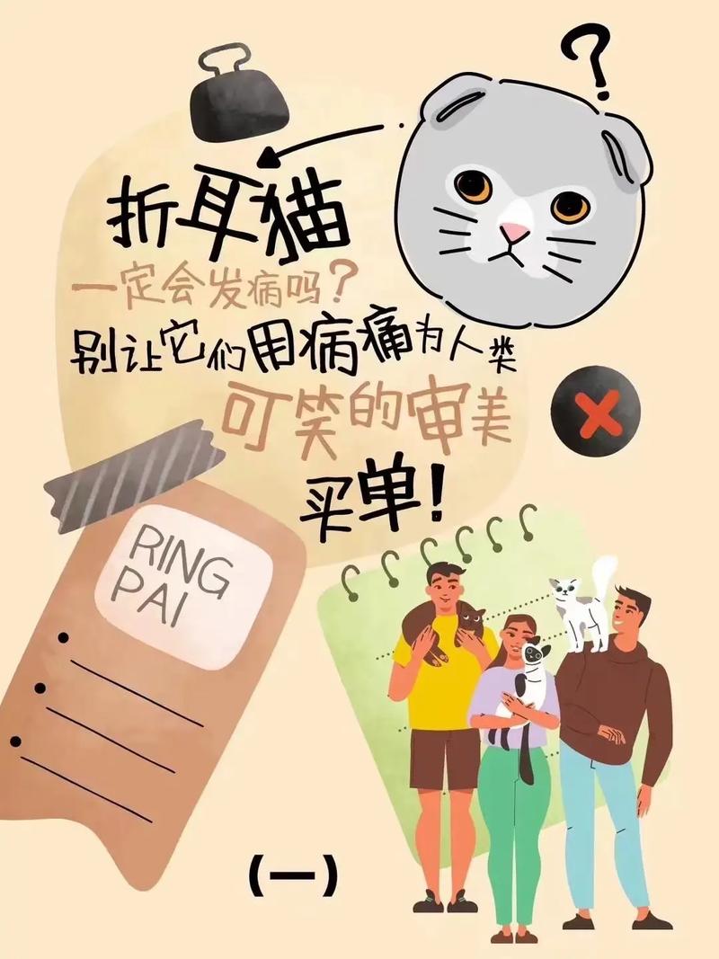 半折耳猫咪会发病吗,半折耳猫咪会发病吗图片?-第2张图片-后鲨宠物 半折耳猫咪会发病吗,半折耳猫咪会发病吗图片?-第2张图片-后鲨宠物