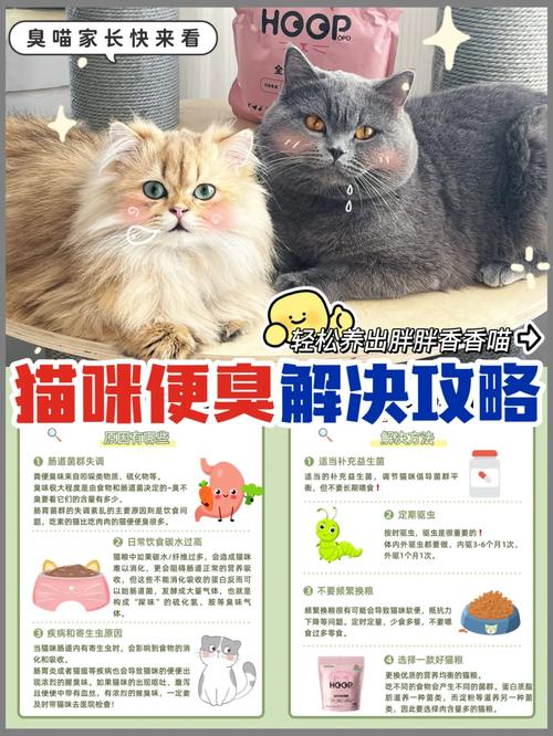 猫咪三天不拉屎怎么办,猫咪三天不拉粑粑怎么办?-第3张图片-后鲨宠物 猫咪三天不拉屎怎么办,猫咪三天不拉粑粑怎么办?-第3张图片-后鲨宠物