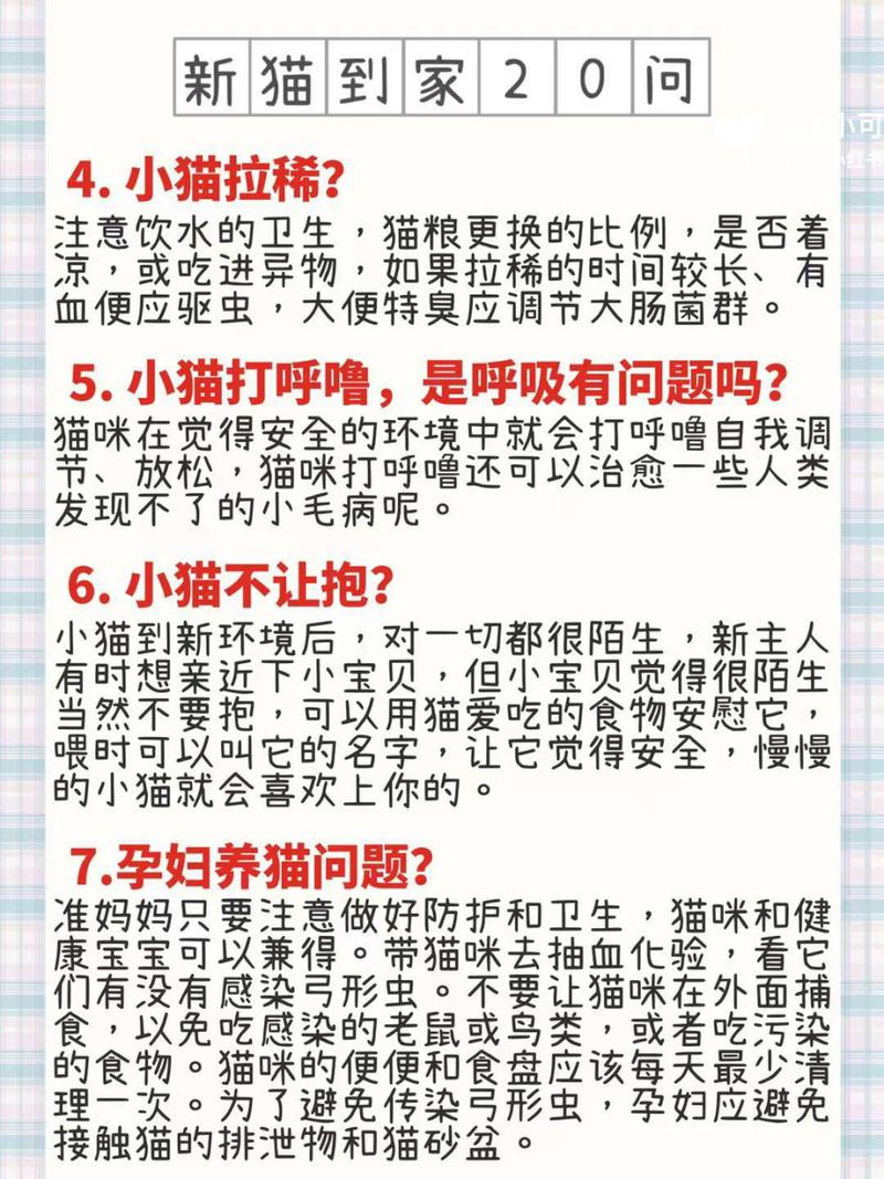 猫咪三天不拉屎怎么办,猫咪三天不拉粑粑怎么办?-第5张图片-后鲨宠物 猫咪三天不拉屎怎么办,猫咪三天不拉粑粑怎么办?-第5张图片-后鲨宠物