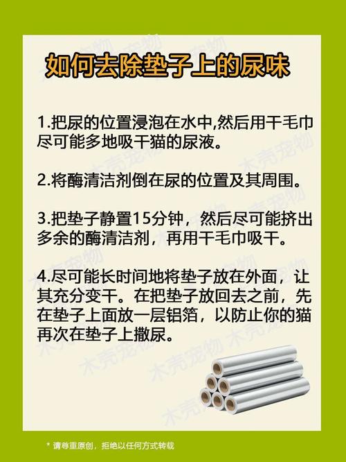 猫咪的尿味怎么去除_猫尿味咋去除-第3张图片-后鲨宠物 猫咪的尿味怎么去除_猫尿味咋去除-第3张图片-后鲨宠物