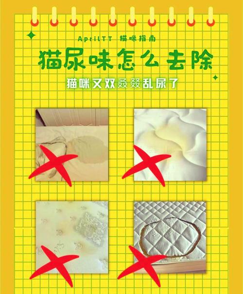 猫咪的尿味怎么去除_猫尿味咋去除-第4张图片-后鲨宠物 猫咪的尿味怎么去除_猫尿味咋去除-第4张图片-后鲨宠物