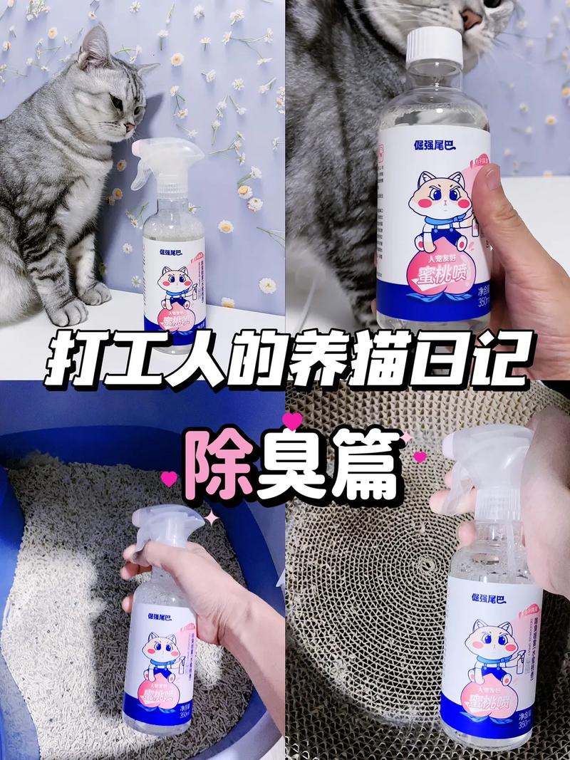 猫咪的尿味怎么去除_猫尿味咋去除-第5张图片-后鲨宠物 猫咪的尿味怎么去除_猫尿味咋去除-第5张图片-后鲨宠物