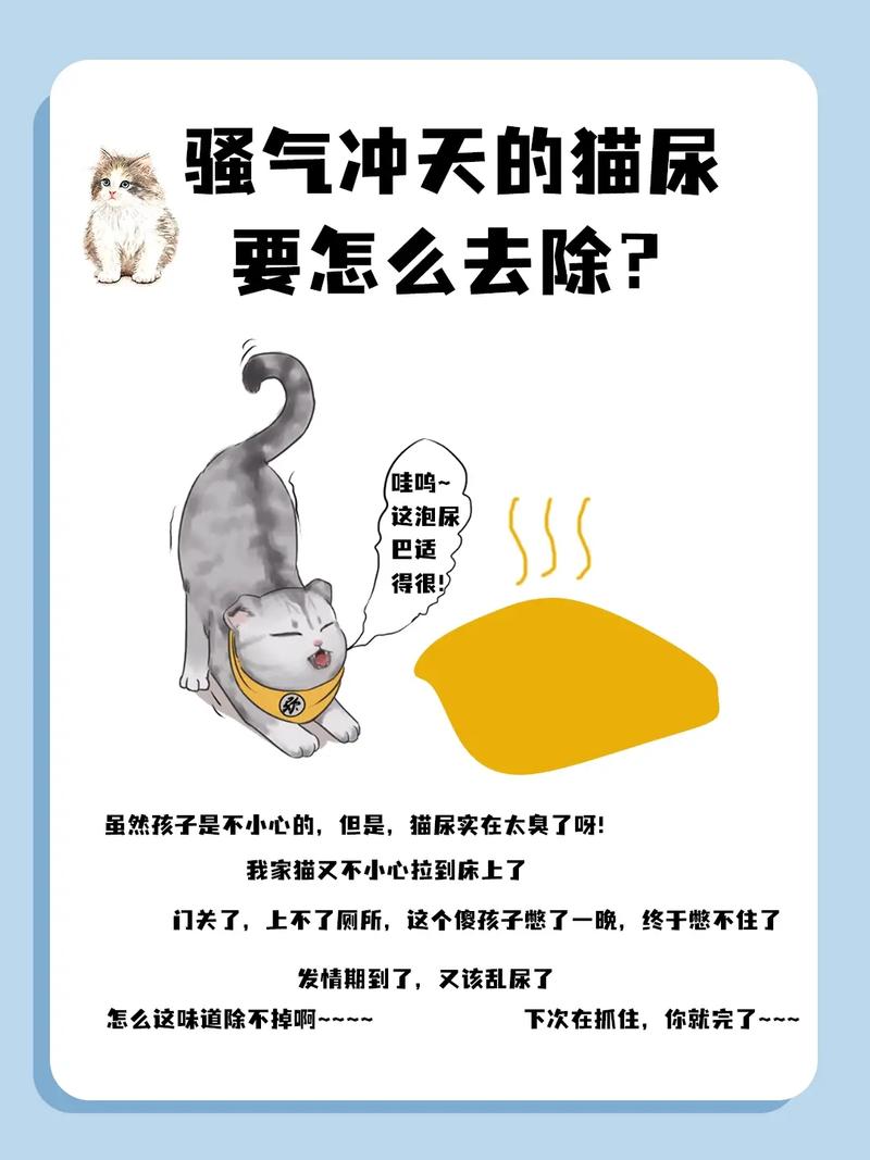 猫咪的尿味怎么去除_猫尿味咋去除-第6张图片-后鲨宠物 猫咪的尿味怎么去除_猫尿味咋去除-第6张图片-后鲨宠物