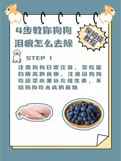 狗狗泪痕严重怎么办,狗狗眼泪多泪痕重怎么办?-第1张图片-后鲨宠物 狗狗泪痕严重怎么办,狗狗眼泪多泪痕重怎么办?-第1张图片-后鲨宠物