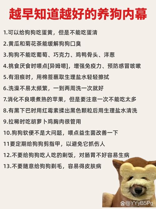 蛋清狗狗能吃吗,蛋清狗狗能吃吗有毒吗?-第3张图片-后鲨宠物 蛋清狗狗能吃吗,蛋清狗狗能吃吗有毒吗?-第3张图片-后鲨宠物