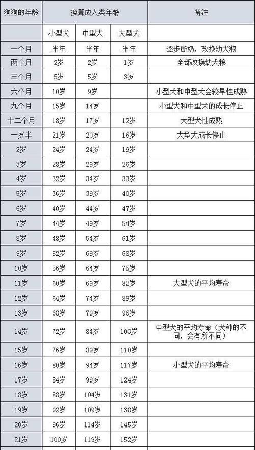 七个月狗狗算成犬吗,7个月狗狗算成犬吗-第6张图片-后鲨宠物 七个月狗狗算成犬吗,7个月狗狗算成犬吗-第6张图片-后鲨宠物
