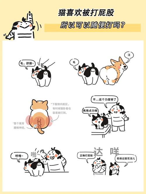 猫咪不听话可以打哪里_猫咪不听话打哪里长记性-第1张图片-后鲨宠物
