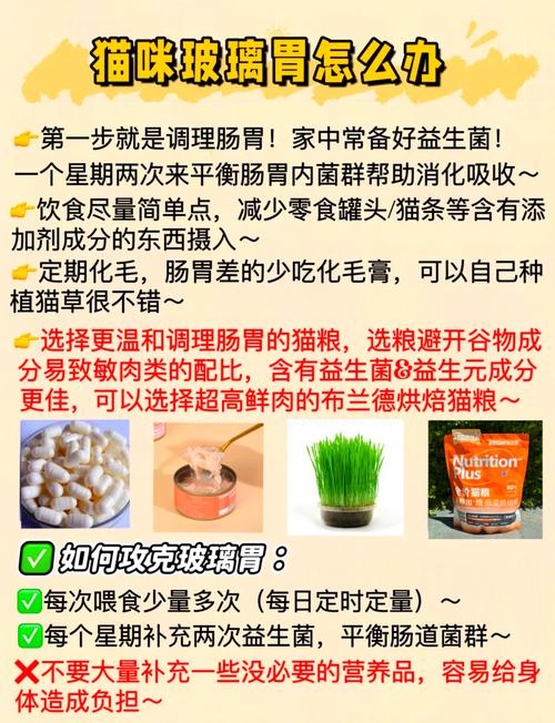 猫咪肠胃不好吃什么猫粮,猫咪肠胃不好吃什么猫粮比较好-第1张图片-后鲨宠物 猫咪肠胃不好吃什么猫粮,猫咪肠胃不好吃什么猫粮比较好-第1张图片-后鲨宠物