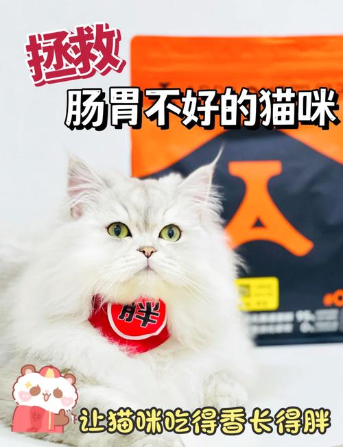 猫咪肠胃不好吃什么猫粮,猫咪肠胃不好吃什么猫粮比较好-第2张图片-后鲨宠物 猫咪肠胃不好吃什么猫粮,猫咪肠胃不好吃什么猫粮比较好-第2张图片-后鲨宠物