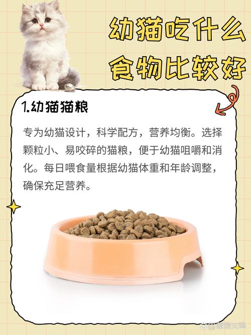 猫咪肠胃不好吃什么猫粮,猫咪肠胃不好吃什么猫粮比较好-第3张图片-后鲨宠物 猫咪肠胃不好吃什么猫粮,猫咪肠胃不好吃什么猫粮比较好-第3张图片-后鲨宠物