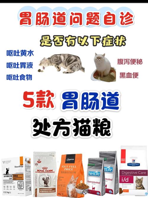 猫咪肠胃不好吃什么猫粮,猫咪肠胃不好吃什么猫粮比较好-第6张图片-后鲨宠物 猫咪肠胃不好吃什么猫粮,猫咪肠胃不好吃什么猫粮比较好-第6张图片-后鲨宠物