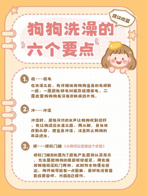 如何帮狗狗洗澡,如何帮狗狗洗澡不抗拒-第1张图片-后鲨宠物 如何帮狗狗洗澡,如何帮狗狗洗澡不抗拒-第1张图片-后鲨宠物