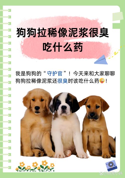 狗狗拉稀恶臭什么原因_狗狗拉稀恶臭味-第5张图片-后鲨宠物 狗狗拉稀恶臭什么原因_狗狗拉稀恶臭味-第5张图片-后鲨宠物