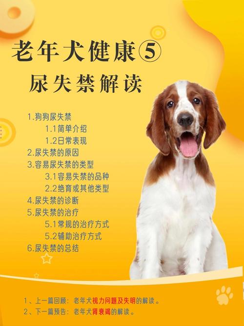 狗狗漏尿怎么治疗,狗狗漏尿怎么解决?-第1张图片-后鲨宠物 狗狗漏尿怎么治疗,狗狗漏尿怎么解决?-第1张图片-后鲨宠物