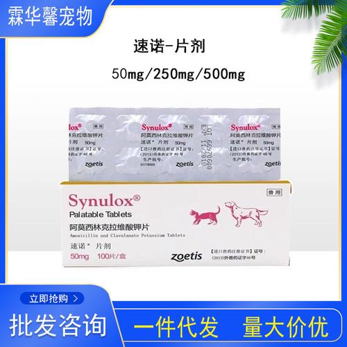 狗狗嗓子哑了吃什么药,狗狗嗓子哑了吃什么药效果好-第2张图片-后鲨宠物 狗狗嗓子哑了吃什么药,狗狗嗓子哑了吃什么药效果好-第2张图片-后鲨宠物