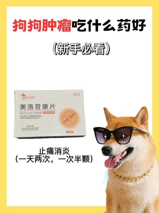 狗狗嗓子哑了吃什么药,狗狗嗓子哑了吃什么药效果好-第3张图片-后鲨宠物 狗狗嗓子哑了吃什么药,狗狗嗓子哑了吃什么药效果好-第3张图片-后鲨宠物