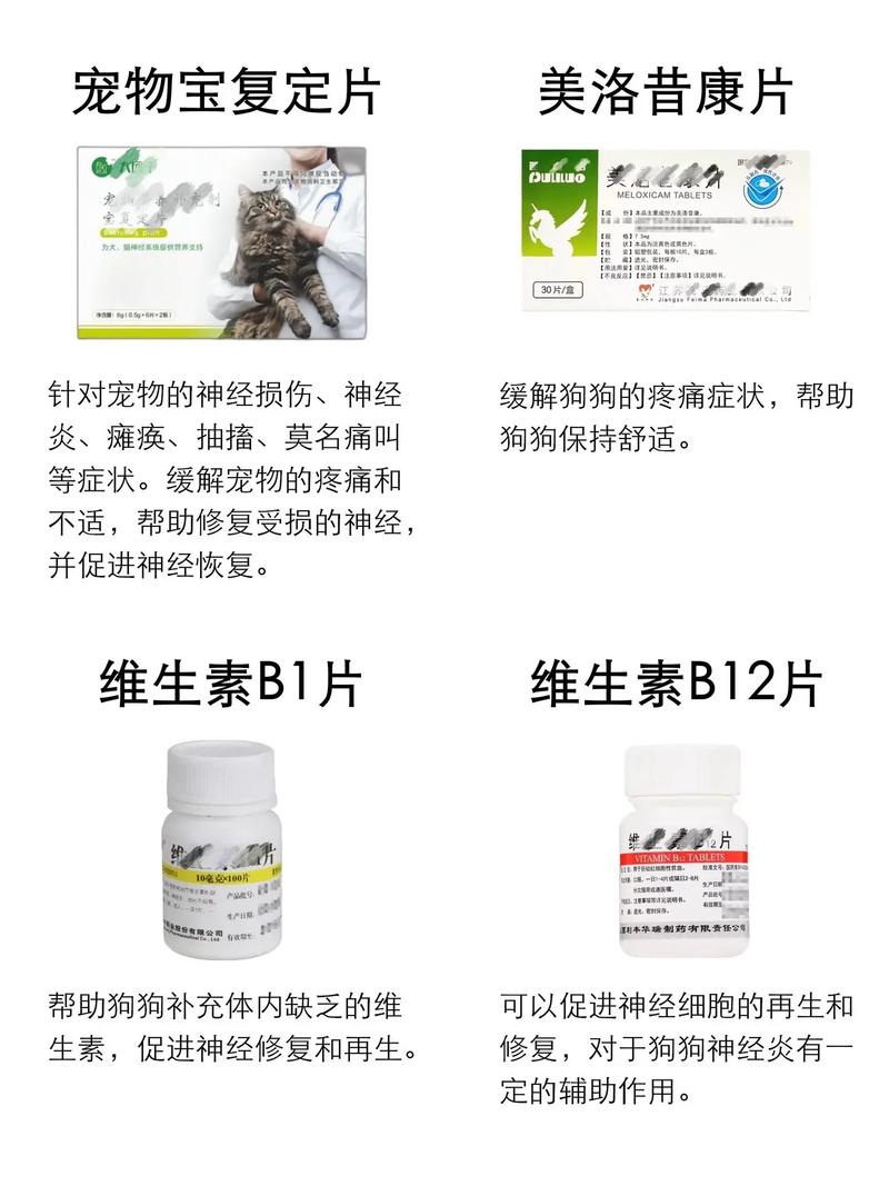 狗狗嗓子哑了吃什么药,狗狗嗓子哑了吃什么药效果好-第4张图片-后鲨宠物 狗狗嗓子哑了吃什么药,狗狗嗓子哑了吃什么药效果好-第4张图片-后鲨宠物