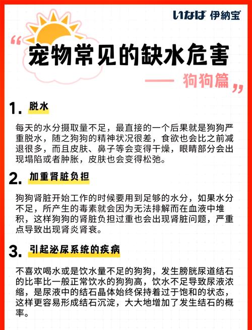 狗狗喝水少怎么办,狗狗喝水少怎么办呢?-第1张图片-后鲨宠物 狗狗喝水少怎么办,狗狗喝水少怎么办呢?-第1张图片-后鲨宠物
