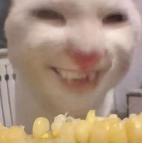 猫咪可以吃玉米,猫咪可以吃玉米火腿肠吗?-第5张图片-后鲨宠物 猫咪可以吃玉米,猫咪可以吃玉米火腿肠吗?-第5张图片-后鲨宠物