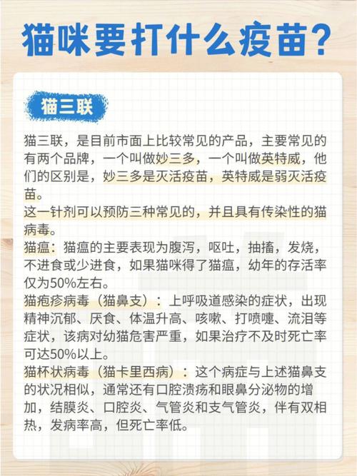 猫咪催产针多少钱,猫的催产针多少钱-第3张图片-后鲨宠物 猫咪催产针多少钱,猫的催产针多少钱-第3张图片-后鲨宠物