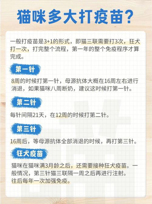 猫咪催产针多少钱,猫的催产针多少钱-第4张图片-后鲨宠物 猫咪催产针多少钱,猫的催产针多少钱-第4张图片-后鲨宠物