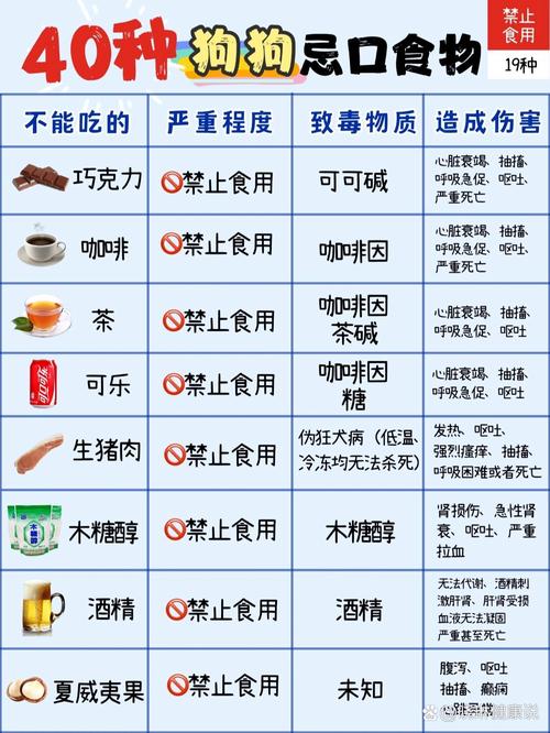 狗狗能吃豆制品吗_狗狗可以吃豆制品吗?-第5张图片-后鲨宠物 狗狗能吃豆制品吗_狗狗可以吃豆制品吗?-第5张图片-后鲨宠物