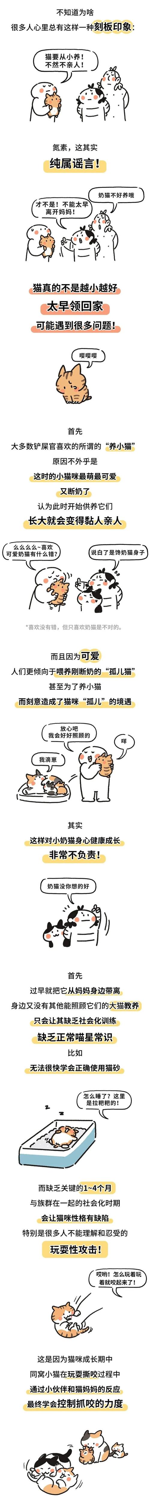 猫咪不亲人怎么办,猫咪不亲人什么-第3张图片-后鲨宠物 猫咪不亲人怎么办,猫咪不亲人什么-第3张图片-后鲨宠物